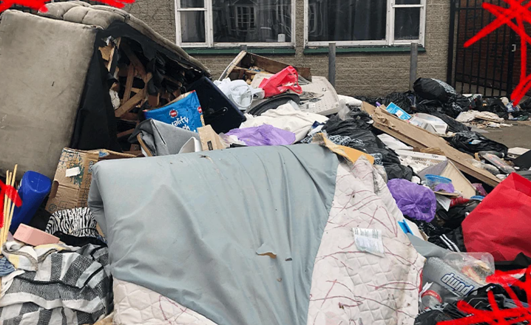 新西兰“最野一条街”成景点,游客一车车拉进去参观!“住了很多富二代,风格却像贫民窟!”(组图) - 28