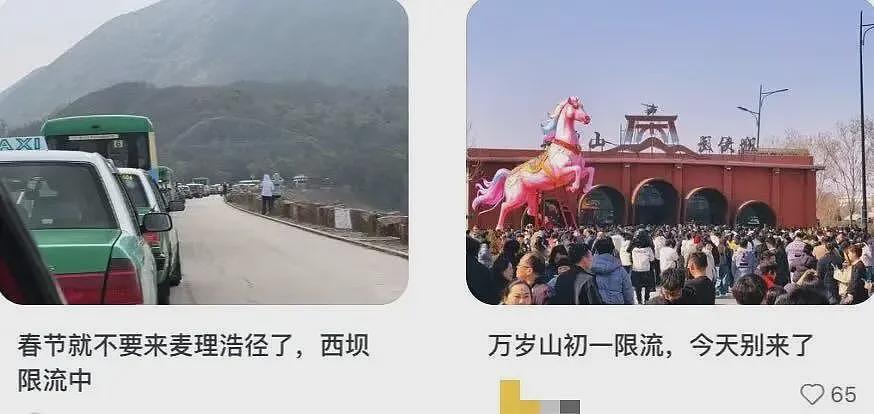 有多少滞留三亚的中产,被自己“穷笑了”?(组图) - 24