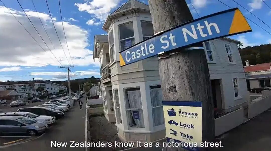 新西兰“最野一条街”成景点,游客一车车拉进去参观!“住了很多富二代,风格却像贫民窟!”(组图) - 7