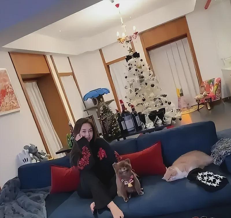 传4500万打掉亲骨肉,45岁阿娇求子无门(组图) - 4