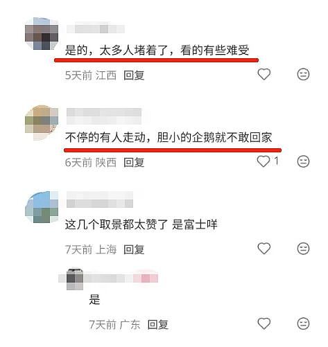 大批游客深夜堵路“蹲企鹅”，遭新西兰警方驱散！中国春节客挤爆小镇（组图） - 13