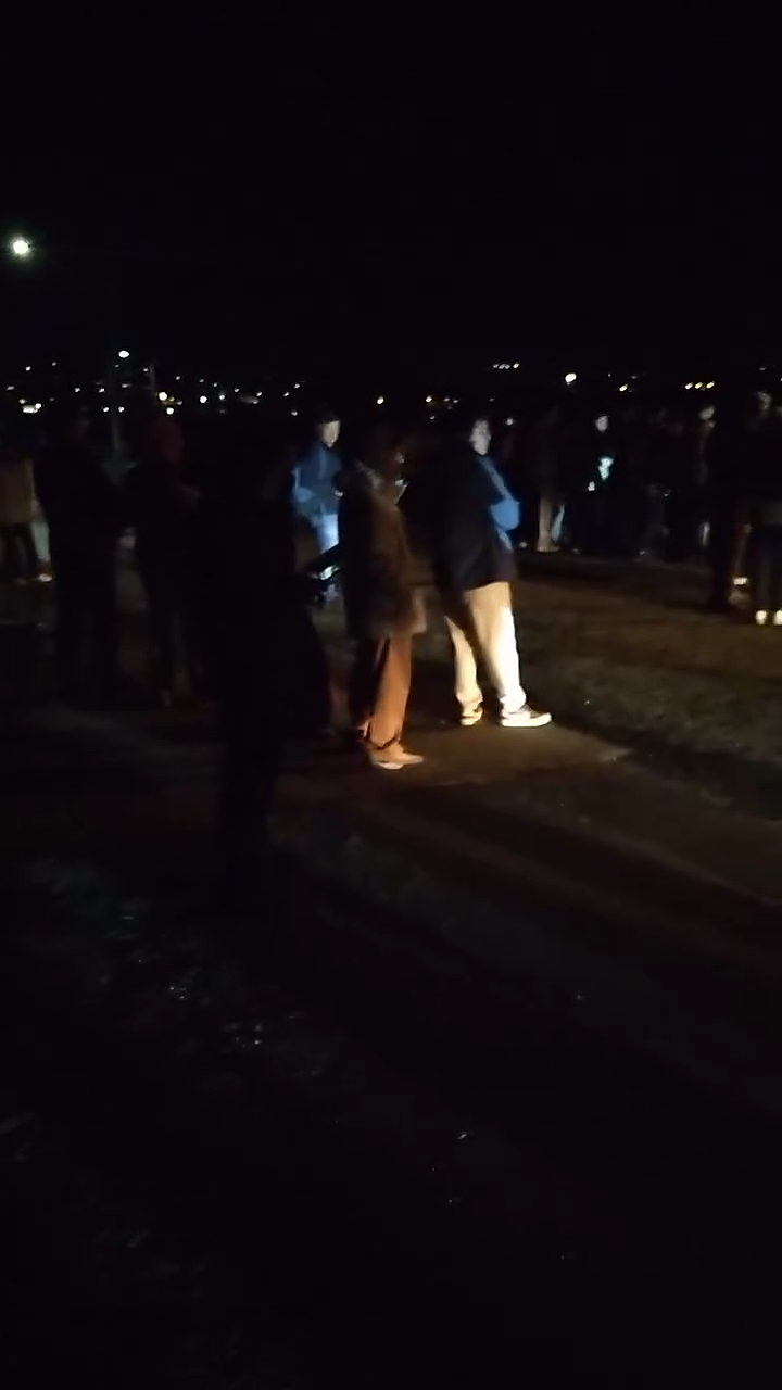大批游客深夜堵路“蹲企鹅”，遭新西兰警方驱散！中国春节客挤爆小镇（组图） - 4