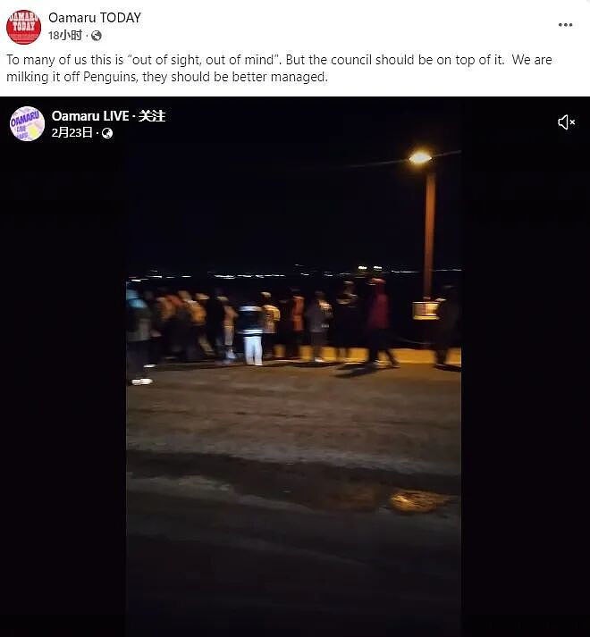 大批游客深夜堵路“蹲企鹅”，遭新西兰警方驱散！中国春节客挤爆小镇（组图） - 19