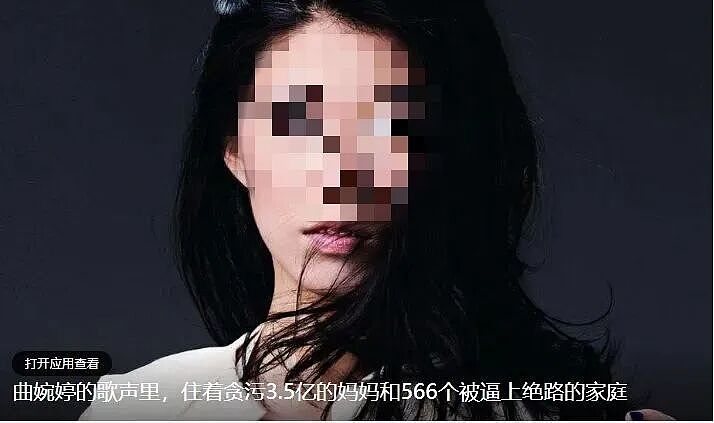 热搜爆了！知名女歌手穿中国红拜年想复出，刚想捞金就被全网按死！曾一曲爆火网络上春晚（组图） - 13
