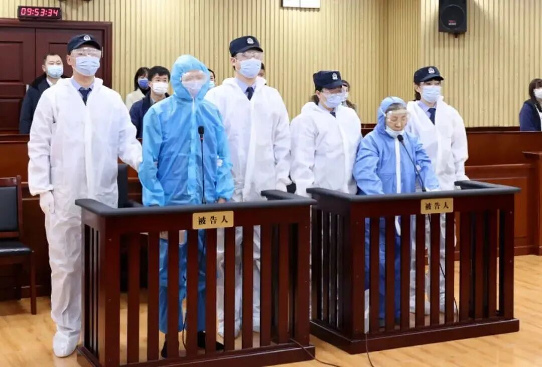 热搜爆了！知名女歌手穿中国红拜年想复出，刚想捞金就被全网按死！曾一曲爆火网络上春晚（组图） - 10