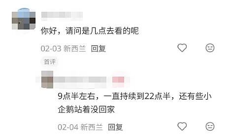 大批游客深夜堵路“蹲企鹅”，遭新西兰警方驱散！中国春节客挤爆小镇（组图） - 12