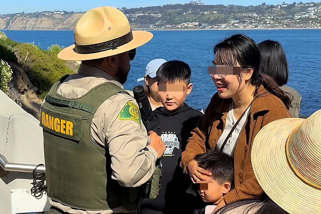圣地亚哥海滩丢人一幕：中国游客纵容熊孩子砸海狮，全家被赶出海滩（组图） - 1