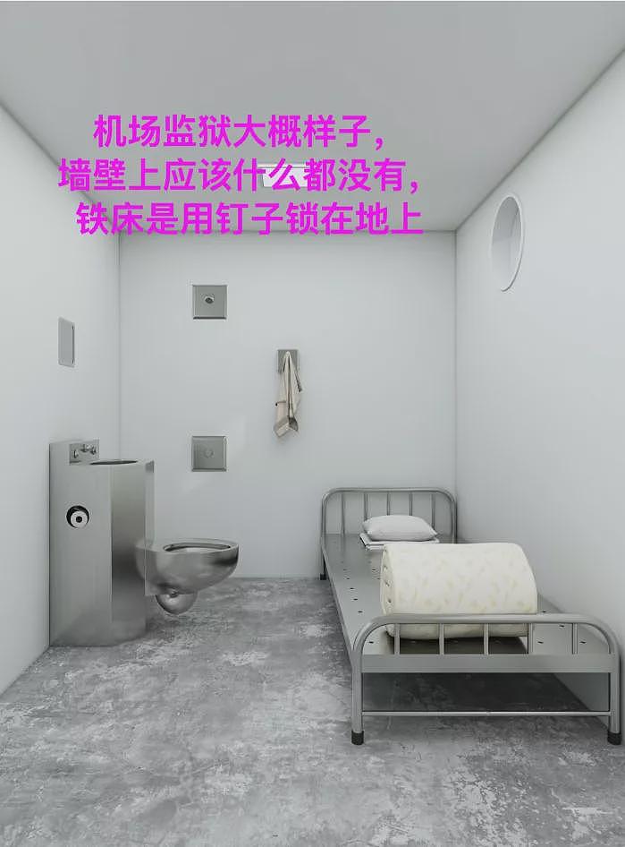 本人讲述:春节后返美住机场牢房+遣返+吊销h1b(组图) - 2