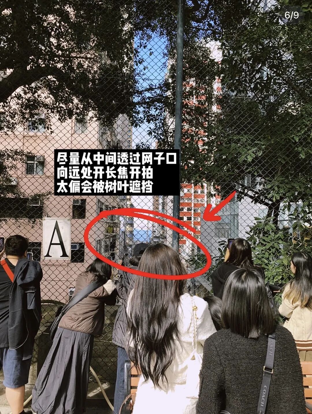 春节出游的年轻人，快把全世界避雷完了（组图） - 3