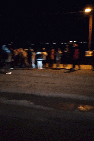 大批游客深夜堵路“蹲企鹅”，遭新西兰警方驱散！中国春节客挤爆小镇（组图） - 3