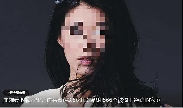 热搜爆了!知名女歌手穿中国红拜年想复出,刚想捞金就被全网按死!曾一曲爆火网络上春晚(组图) - 13