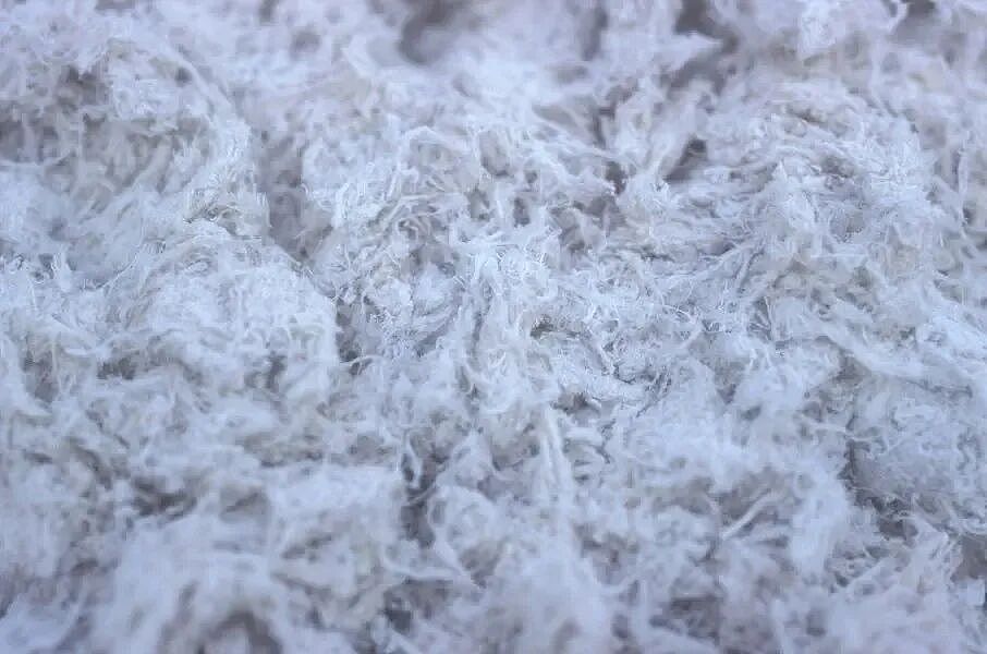 她从没去过工地,却死于工业绝症?因童年每天抱父亲,蝴蝶效应了...(组图) - 4