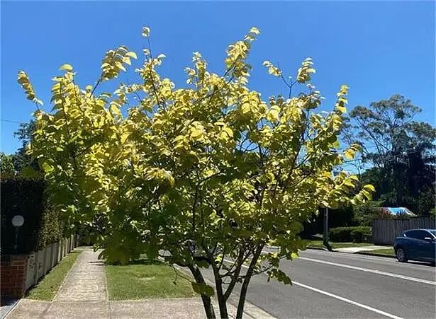 澳洲通胀升至3.8% 业界预测澳储行五月加息概率上升 ASX上市公司市场波动中迎来数十年来最佳财报季 每股盈利显著提升 - 9