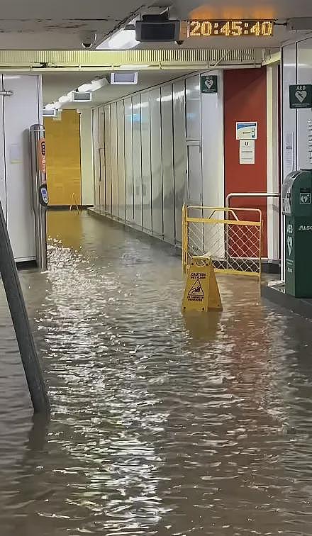 悉尼大雨后被淹了,当局:小心鲨鱼进城(组图) - 2