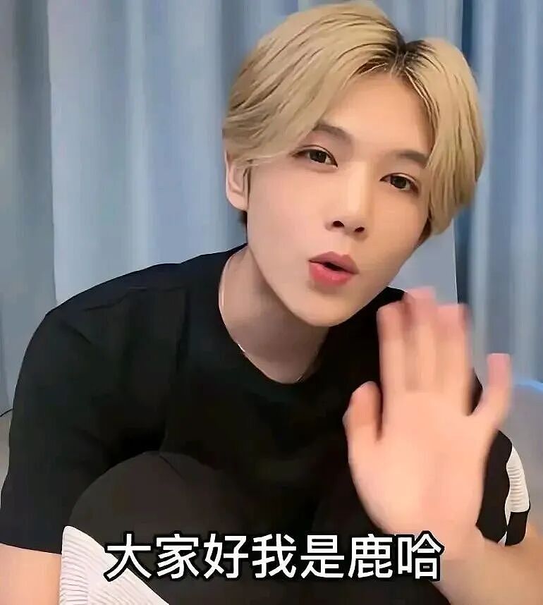 鹿哈官宣得女！凭借模仿鹿晗走红，曾自曝带货7个月收入3500万（组图） - 4