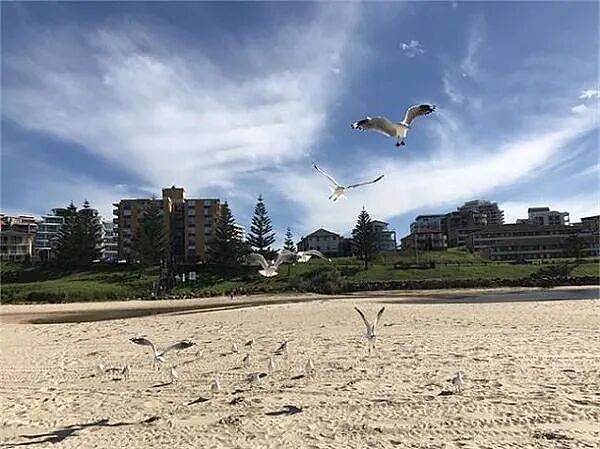 澳大利亚资本利得税改革来袭定向聚焦地产投资 澳股今日创出历史新高 触目惊心!世卫组织本年预计有450万女童面临生殖器切割风险 - 10