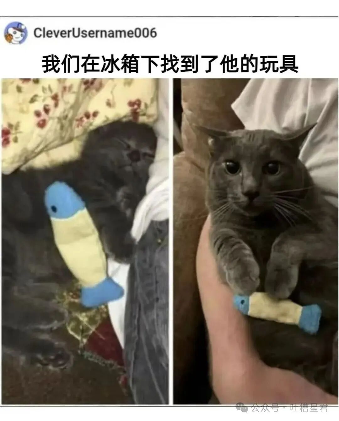 【爆笑】“相亲相到老板是种什么体验…？”哈哈哈人干坏事的时候能想到多少馊主意！（组图） - 56