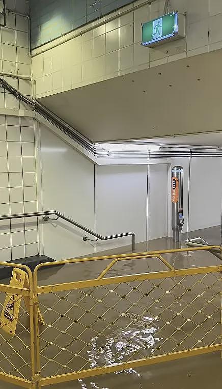 悉尼大雨后被淹了,当局:小心鲨鱼进城(组图) - 1