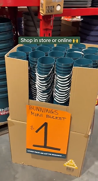 只卖$1!Bunnings爆火单品回归,被澳洲人疯抢,曾数次售罄(组图) - 12