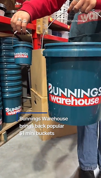 只卖$1!Bunnings爆火单品回归,被澳洲人疯抢,曾数次售罄(组图) - 2
