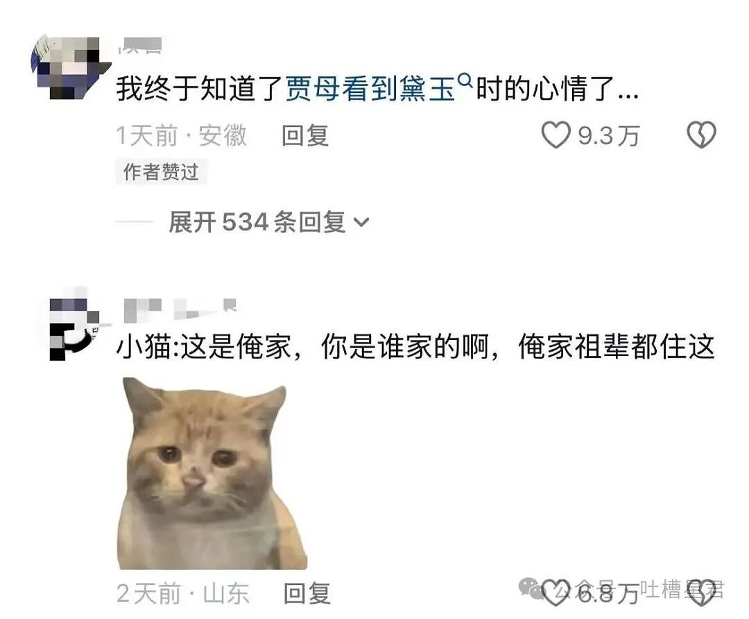 【爆笑】“相亲相到老板是种什么体验…？”哈哈哈人干坏事的时候能想到多少馊主意！（组图） - 25