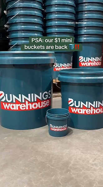 只卖$1!Bunnings爆火单品回归,被澳洲人疯抢,曾数次售罄(组图) - 3