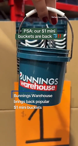 只卖$1!Bunnings爆火单品回归,被澳洲人疯抢,曾数次售罄(组图) - 1