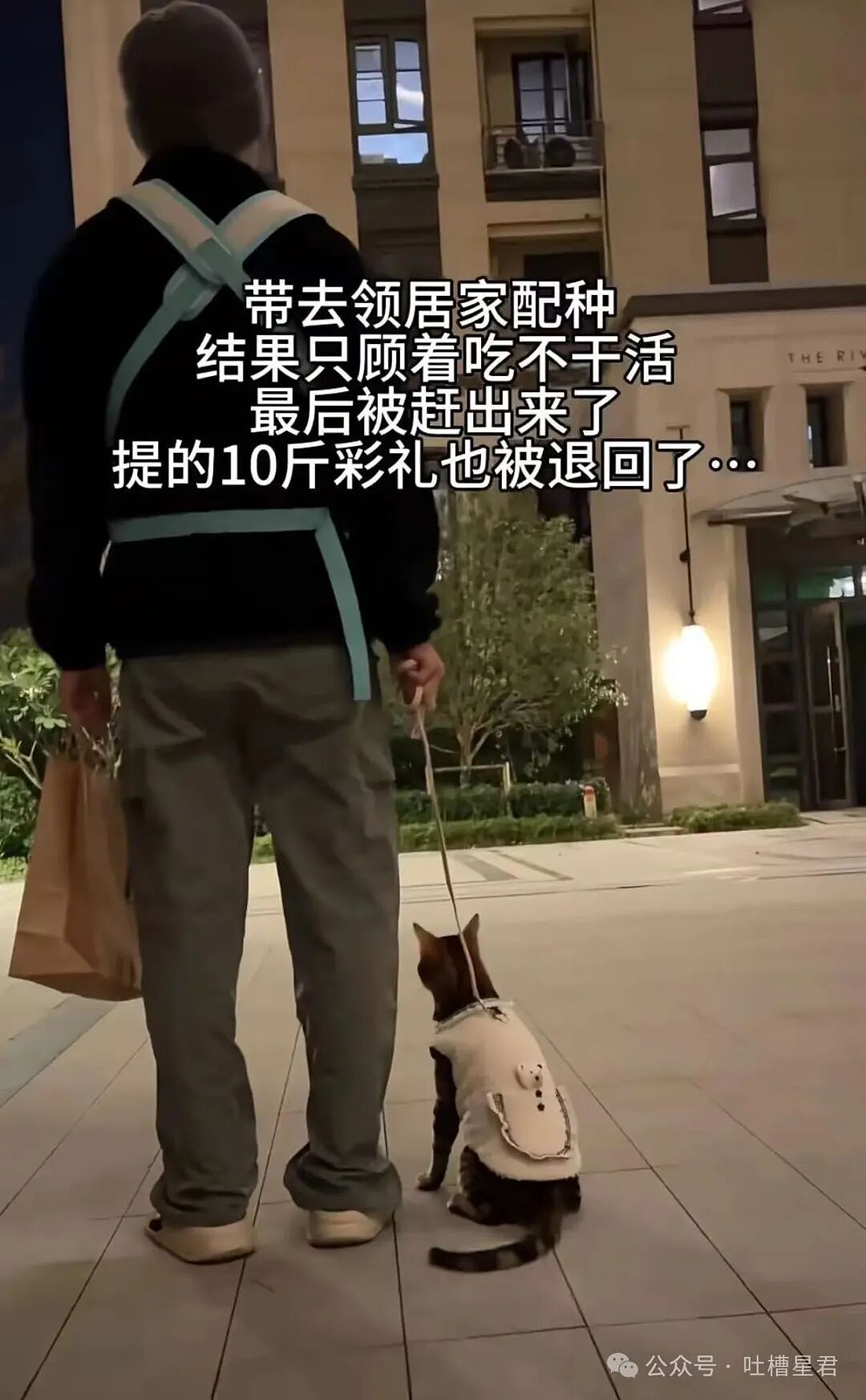 【爆笑】“相亲相到老板是种什么体验…？”哈哈哈人干坏事的时候能想到多少馊主意！（组图） - 8