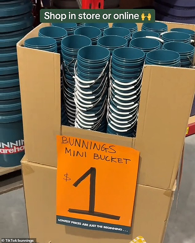 只卖$1!Bunnings爆火单品回归,被澳洲人疯抢,曾数次售罄(组图) - 5
