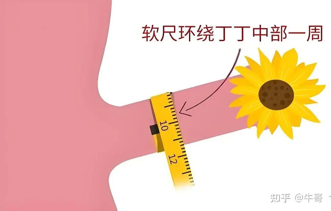 【两性】别再吹嘘自己18厘米了，男性正常长度值，看看你及格了吗？（组图） - 4