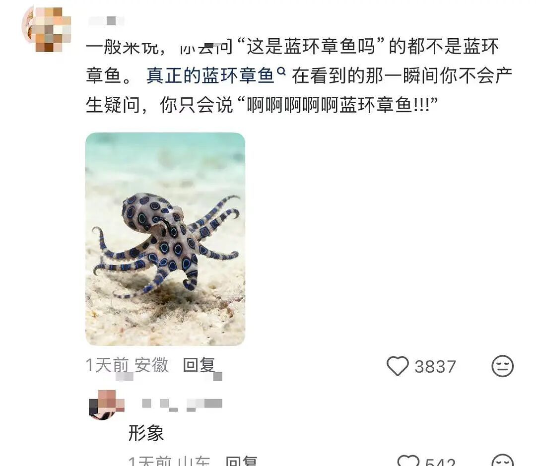 【爆笑】“跪求315今年曝光我家的冰箱…?”哈哈哈僵尸肉没想到自己还能重见天日!(组图) - 27