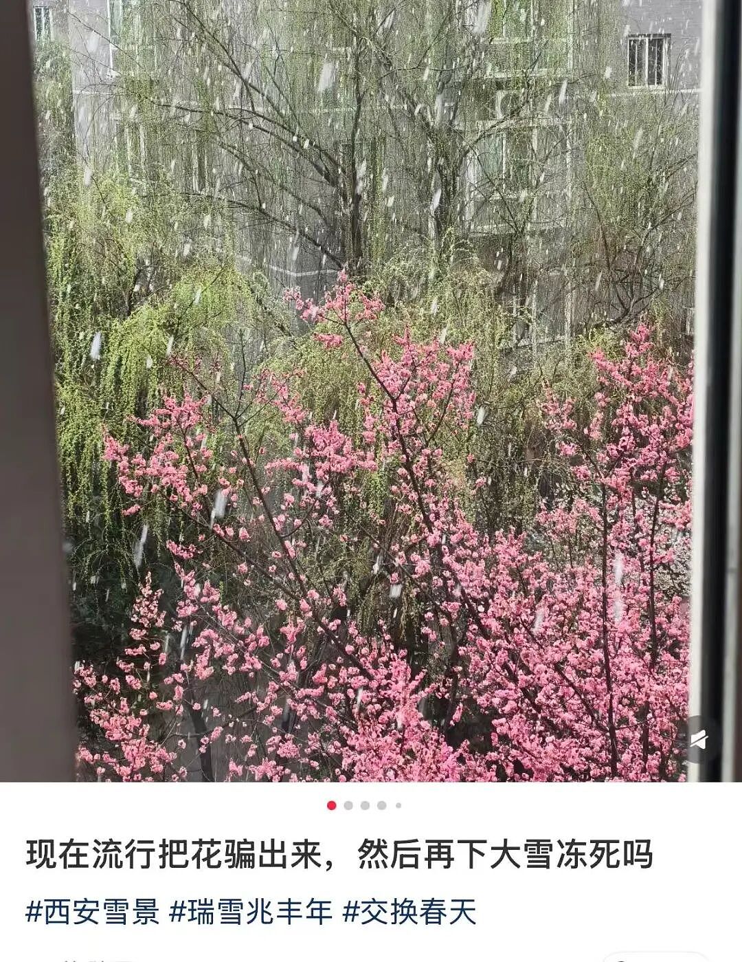 【爆笑】“跪求315今年曝光我家的冰箱…?”哈哈哈僵尸肉没想到自己还能重见天日!(组图) - 40