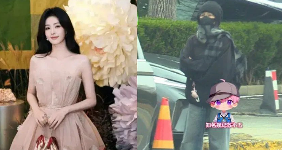 忍无可忍！女星白鹿怒怼私生跟车，下车对峙名场面曝光（组图） - 1