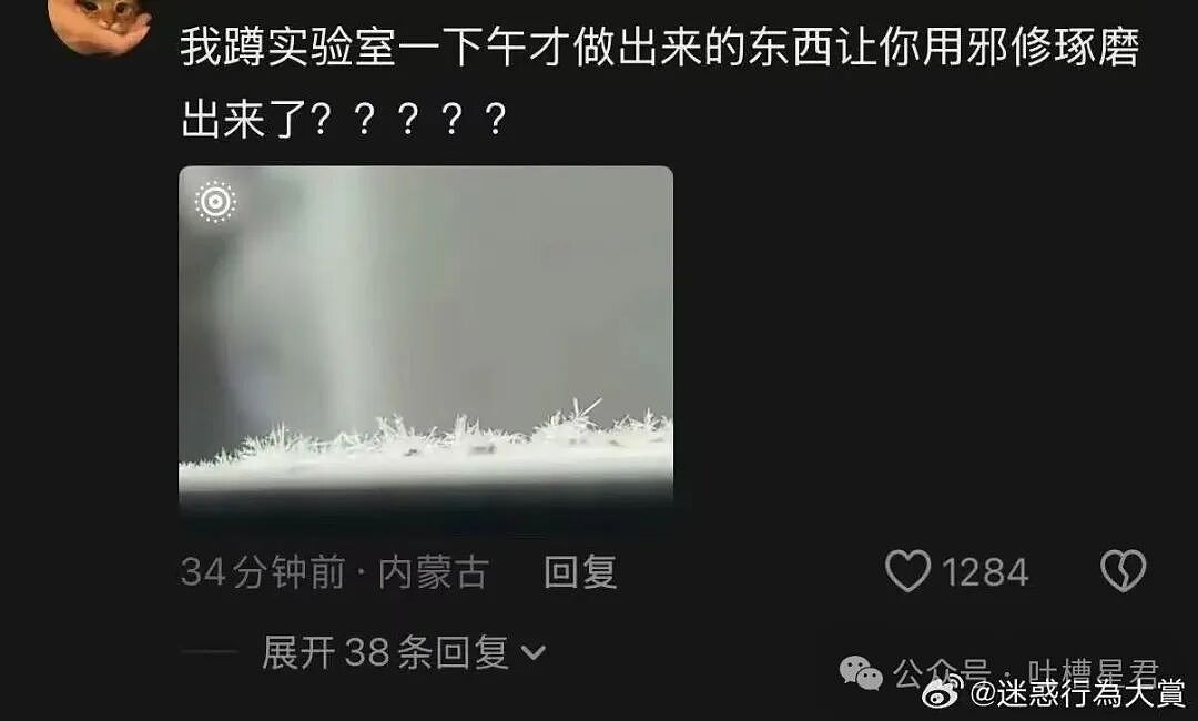 [爆笑】“网友自创公众号和父母魔法对轰…？”哈哈哈公众号届来了个真专家（组图） - 39