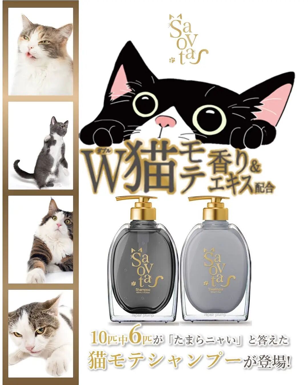 专治高冷猫？日本推出人类用“猫草洗发水”，洗个头就能被主动贴贴！网友：猫奴福音（组图） - 2