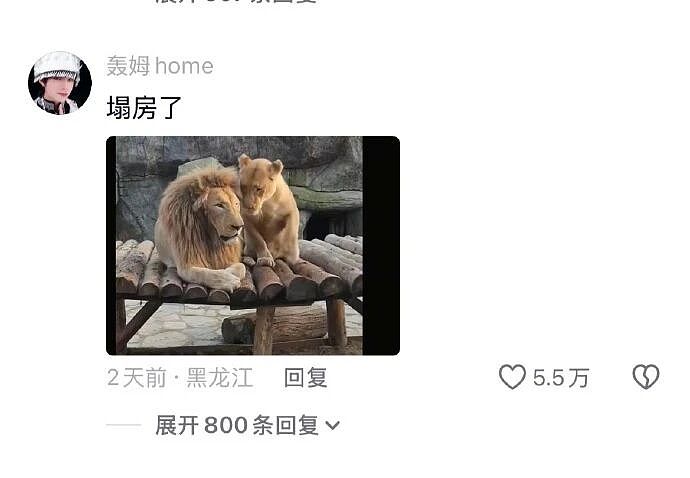 【爆笑】长成这样的酒店大床房能住人吗？网友：刚想说挺正常，但看到配色后我只觉得房间脏脏的...（组图） - 28