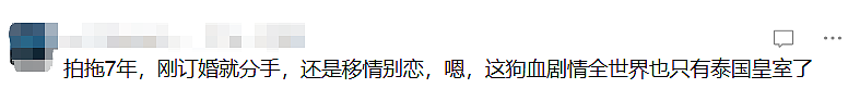 年度最强恋爱瓜!总理儿子无缝衔接泰国公主,成现实版“陈世美”?明星未婚妻7年感情喂了狗(组图) - 10