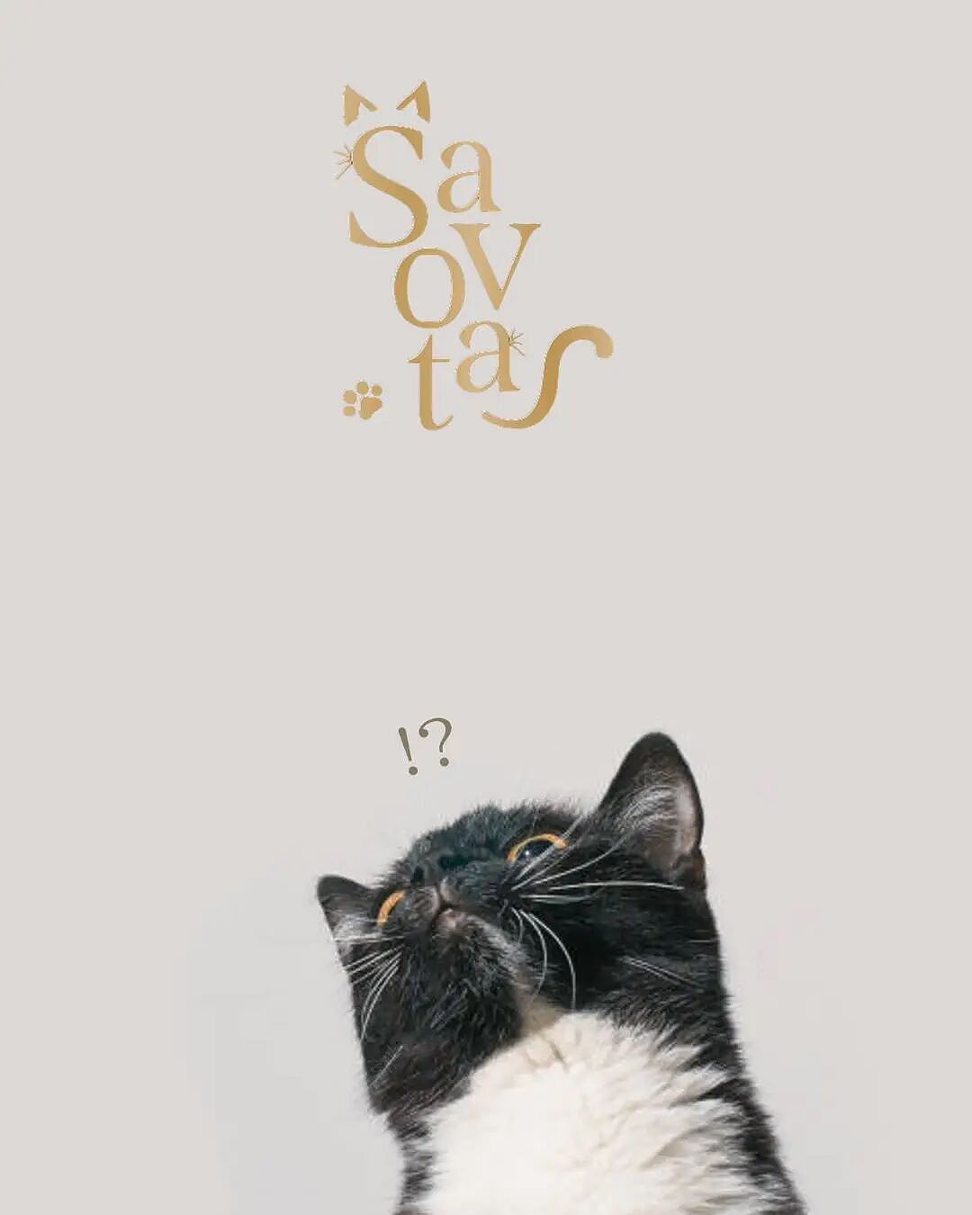 专治高冷猫？日本推出人类用“猫草洗发水”，洗个头就能被主动贴贴！网友：猫奴福音（组图） - 6