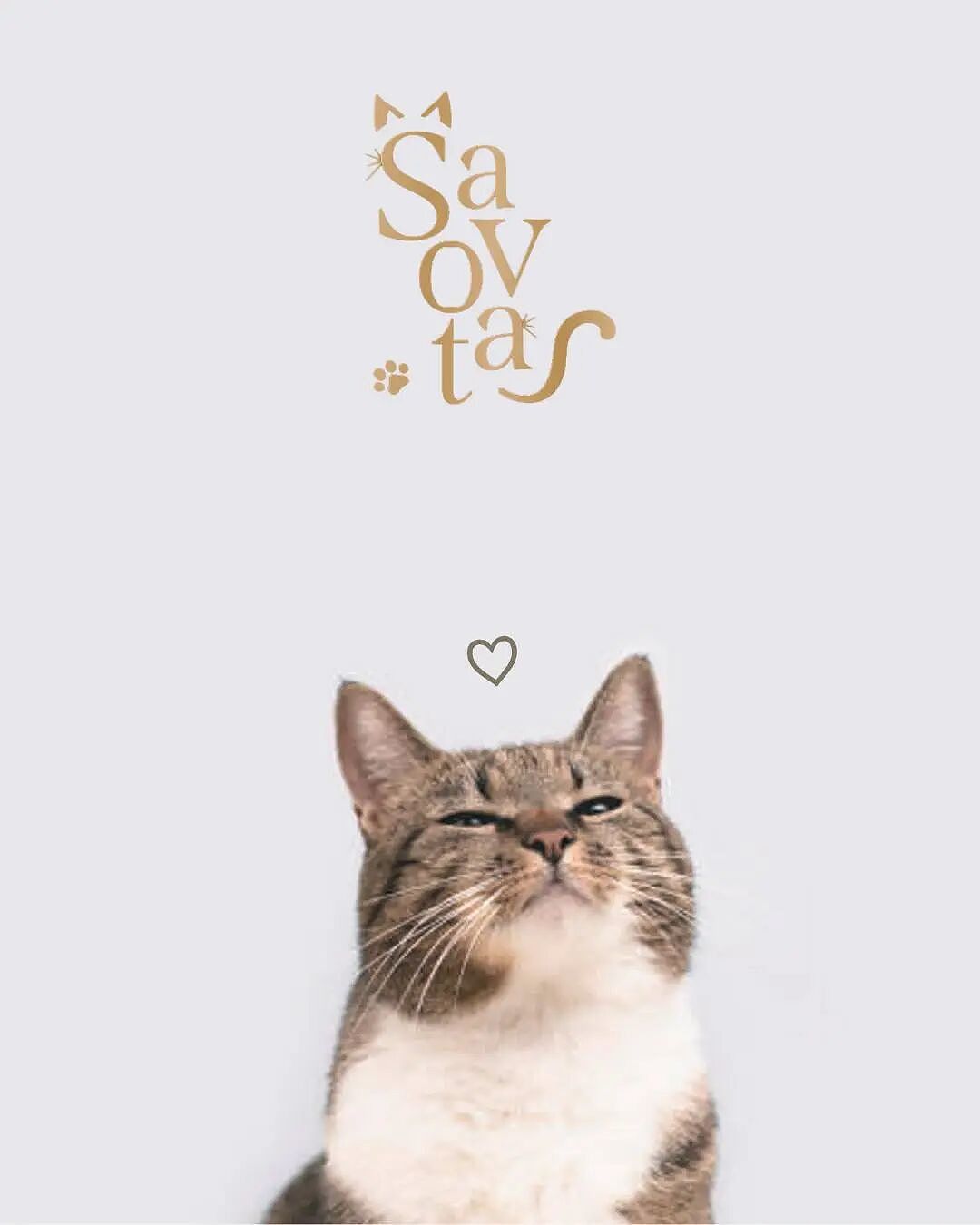专治高冷猫？日本推出人类用“猫草洗发水”，洗个头就能被主动贴贴！网友：猫奴福音（组图） - 7