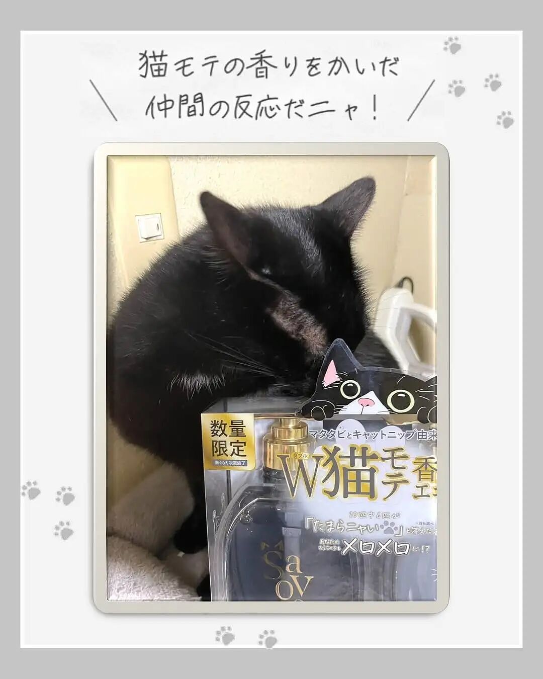 专治高冷猫？日本推出人类用“猫草洗发水”，洗个头就能被主动贴贴！网友：猫奴福音（组图） - 3