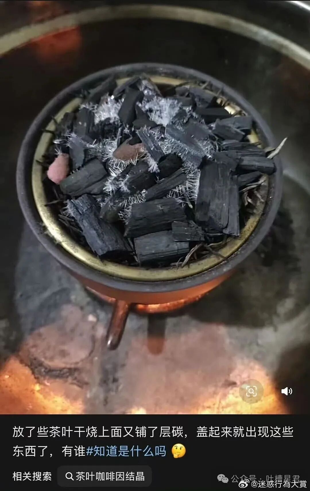 [爆笑】“网友自创公众号和父母魔法对轰…？”哈哈哈公众号届来了个真专家（组图） - 38