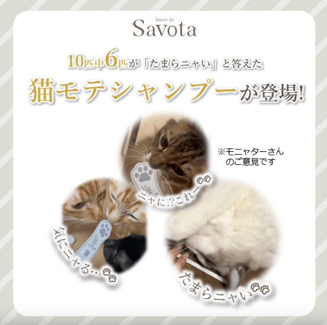 专治高冷猫？日本推出人类用“猫草洗发水”，洗个头就能被主动贴贴！网友：猫奴福音（组图） - 5