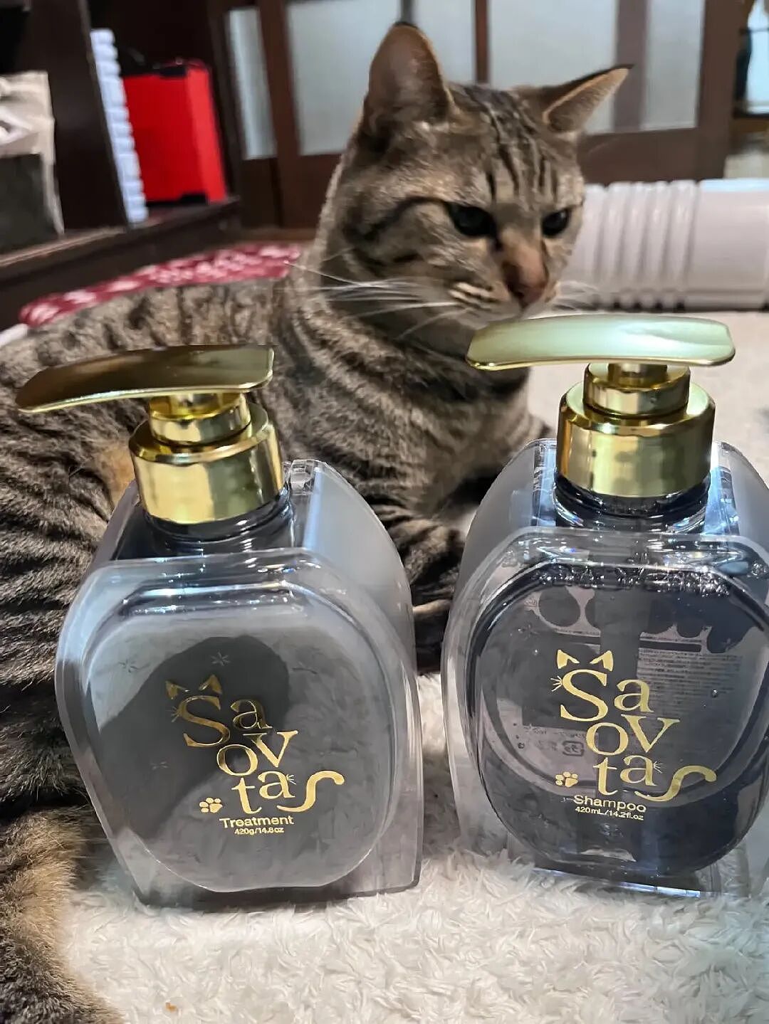 专治高冷猫？日本推出人类用“猫草洗发水”，洗个头就能被主动贴贴！网友：猫奴福音（组图） - 8