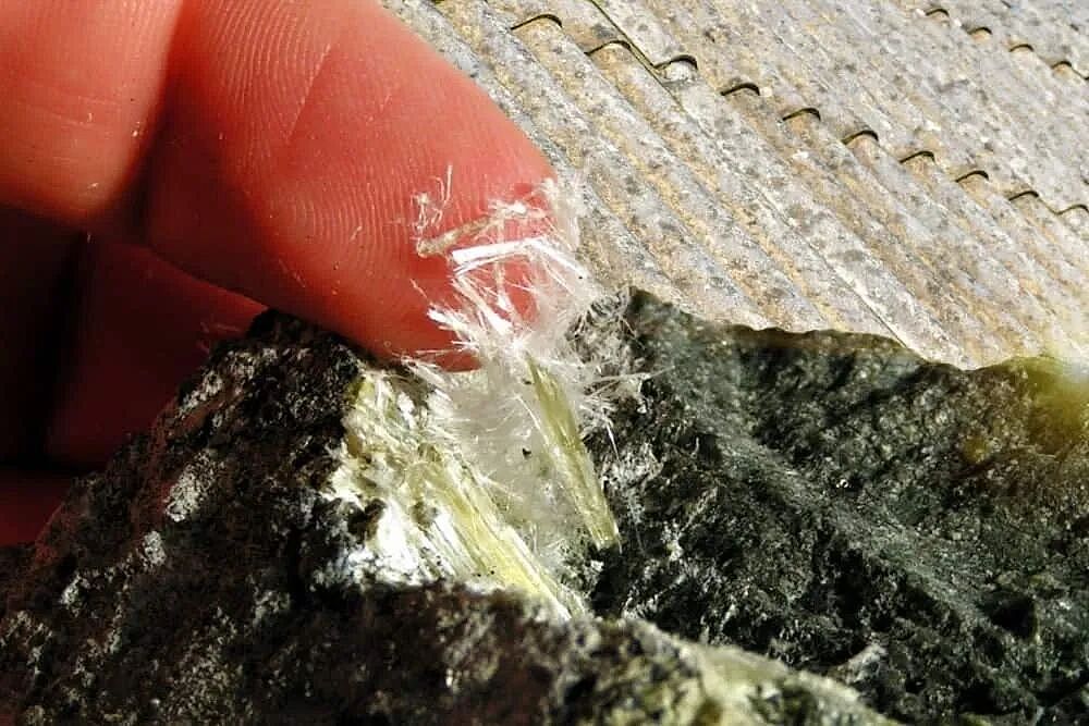 她从没去过工地，却死于工业绝症？因童年每天抱父亲，蝴蝶效应了...（组图） - 2