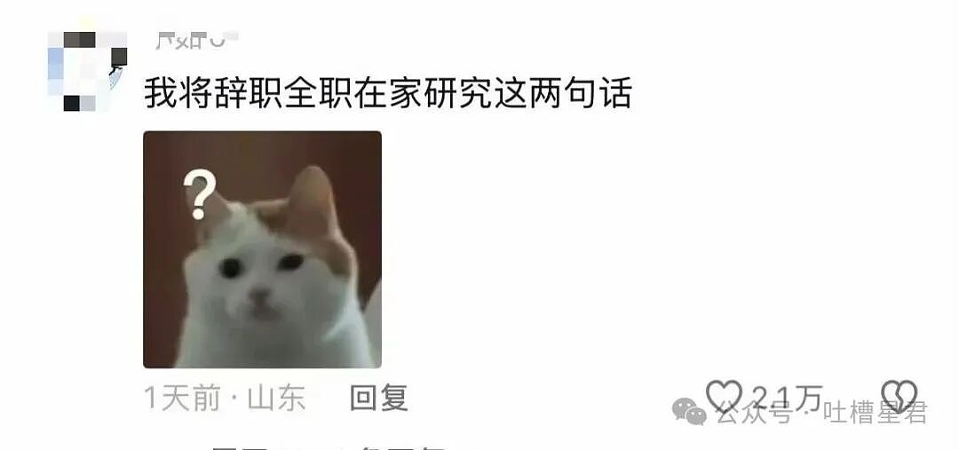 [爆笑】“网友自创公众号和父母魔法对轰…？”哈哈哈公众号届来了个真专家（组图） - 33