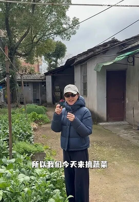 知名女星回老家，素颜提刀下地：这菜非常鲜甜（组图） - 3