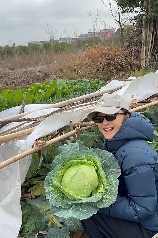知名女星回老家，素颜提刀下地：这菜非常鲜甜（组图） - 6