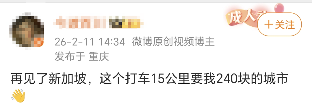 中国网友爆料：新加坡打车15公里240元！半张回程机票没了...（组图） - 3