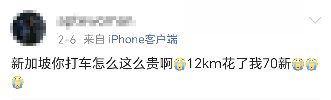 中国网友爆料：新加坡打车15公里240元！半张回程机票没了...（组图） - 6