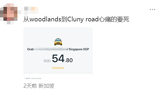 中国网友爆料：新加坡打车15公里240元！半张回程机票没了...（组图） - 8